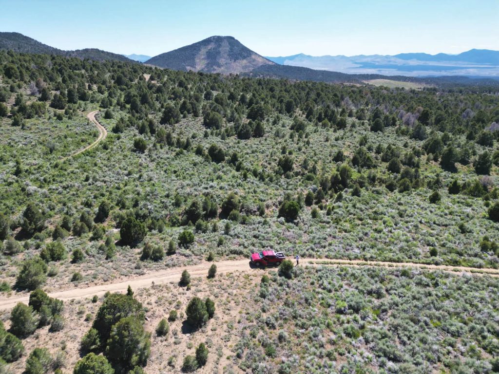 PinonPineNuts-USA-Number-1-source-of-american-pinon-pine-nuts-about-3