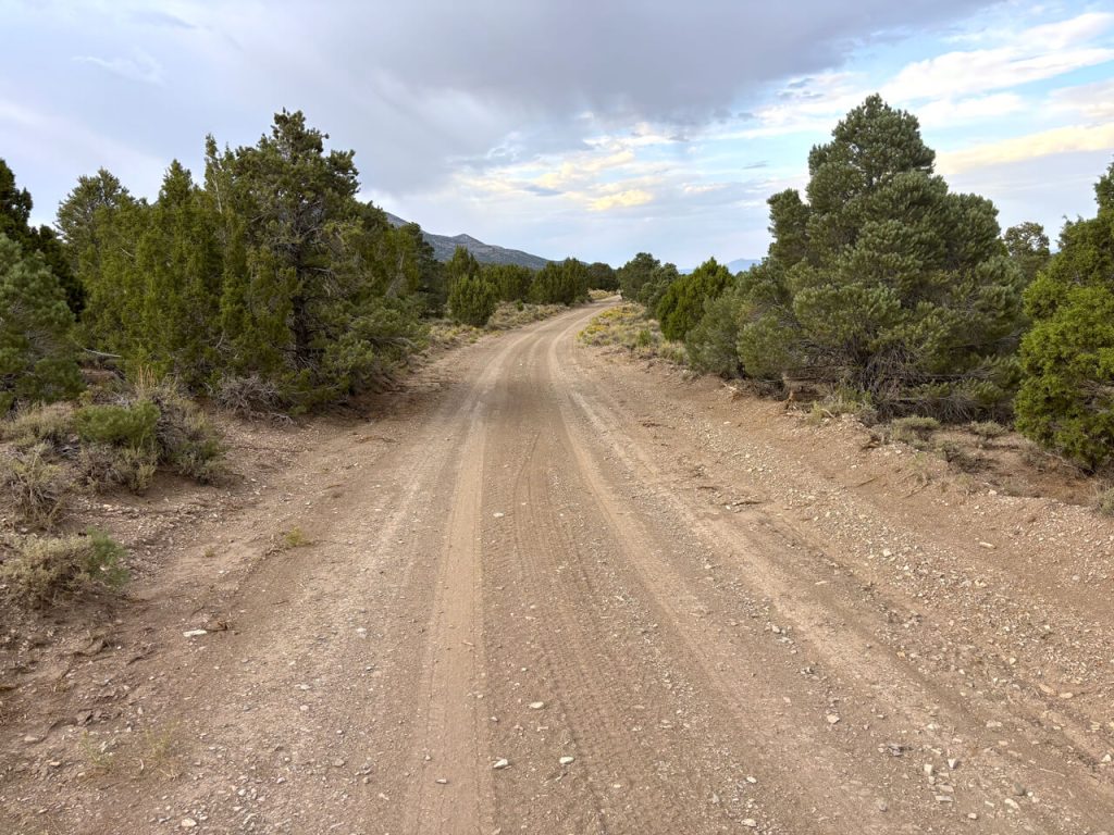 PinonPineNuts-USA-Number-1-source-of-american-pinon-pine-nuts-bg-06